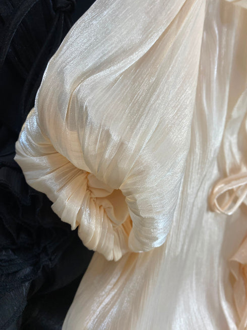 Edrea Shimmer Organza Rose Detail Maxi Dress