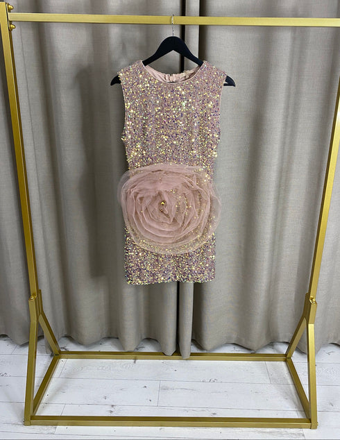 Sidhna Sequin Sleeveless Tulle Rose Detail Mini Dress